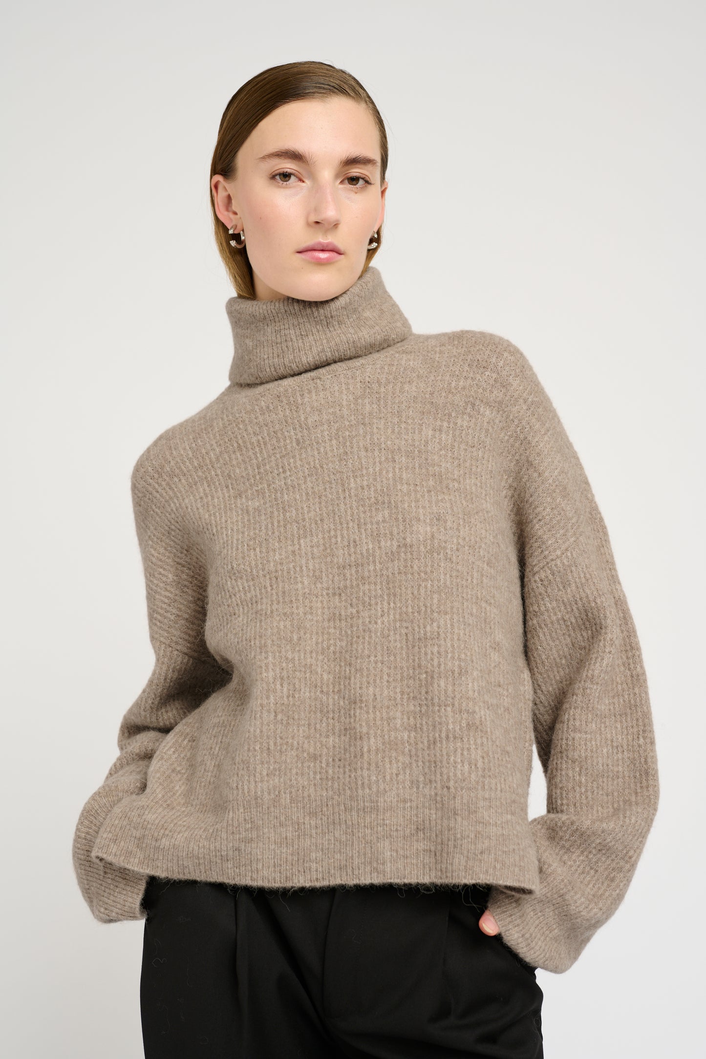 Alpha rollneck
