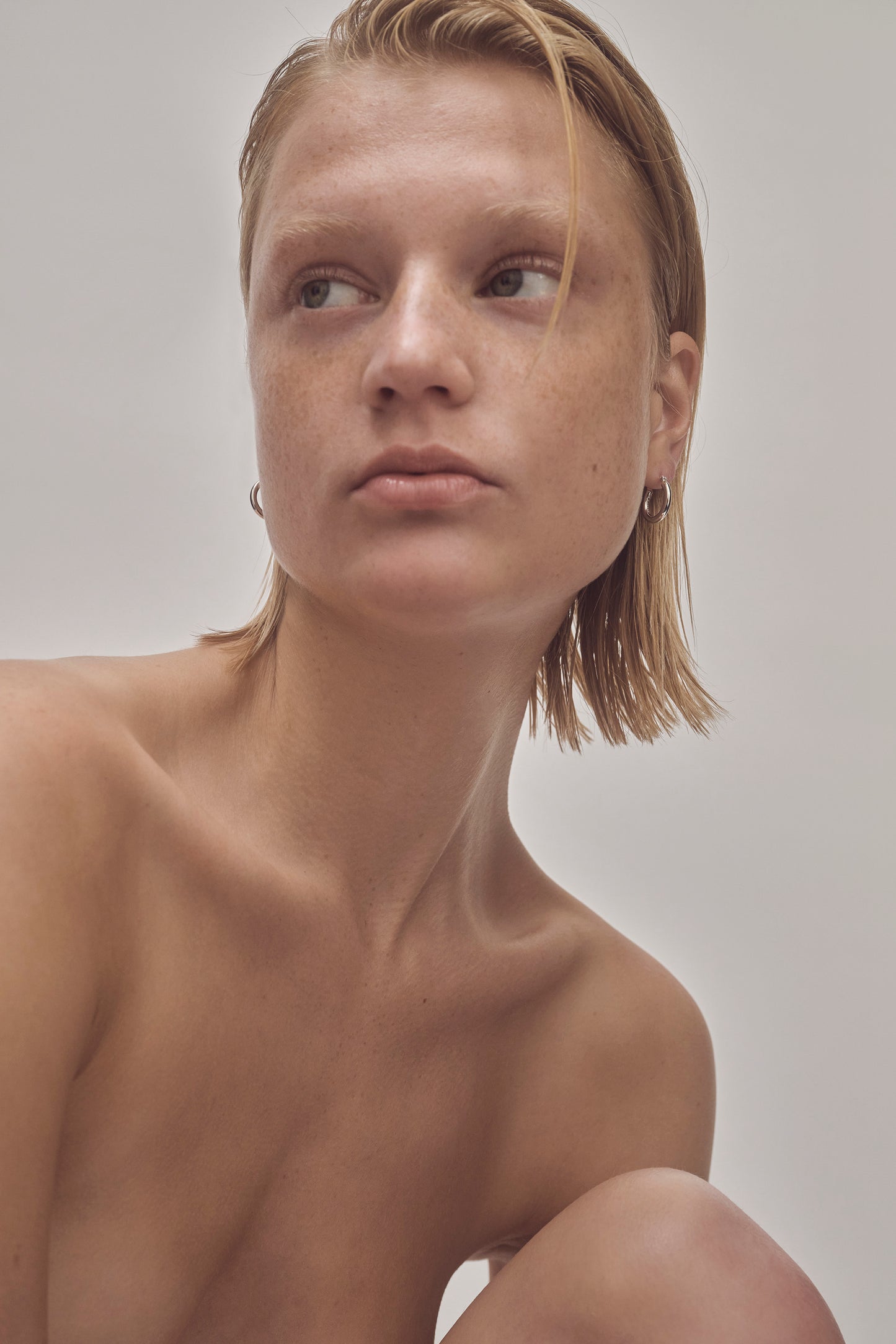 Silver hoops - No. 12100