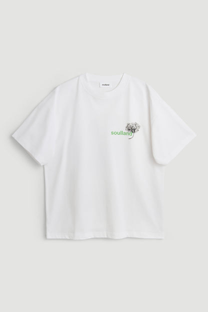 KAI adventure awaits