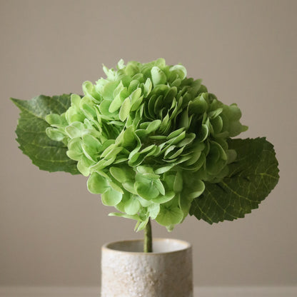 Hydrangea Flower