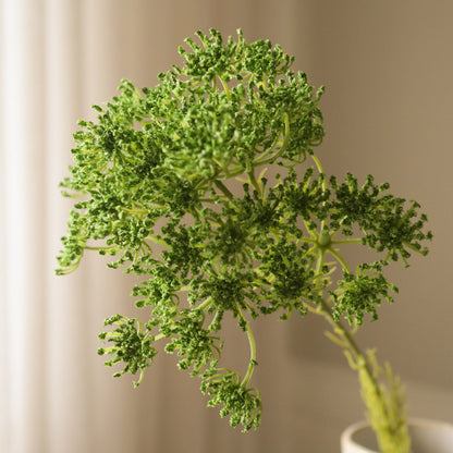 Queen Anne's Lace Flower