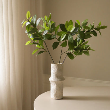 Ruscus Leaves