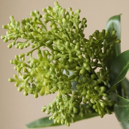 Skimmia Berry Branch