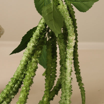Three Forks Amaranthus Flower