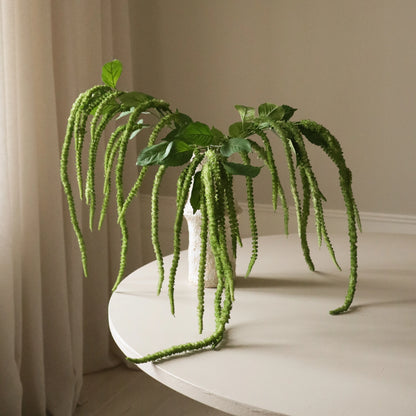 Three Forks Amaranthus Flower