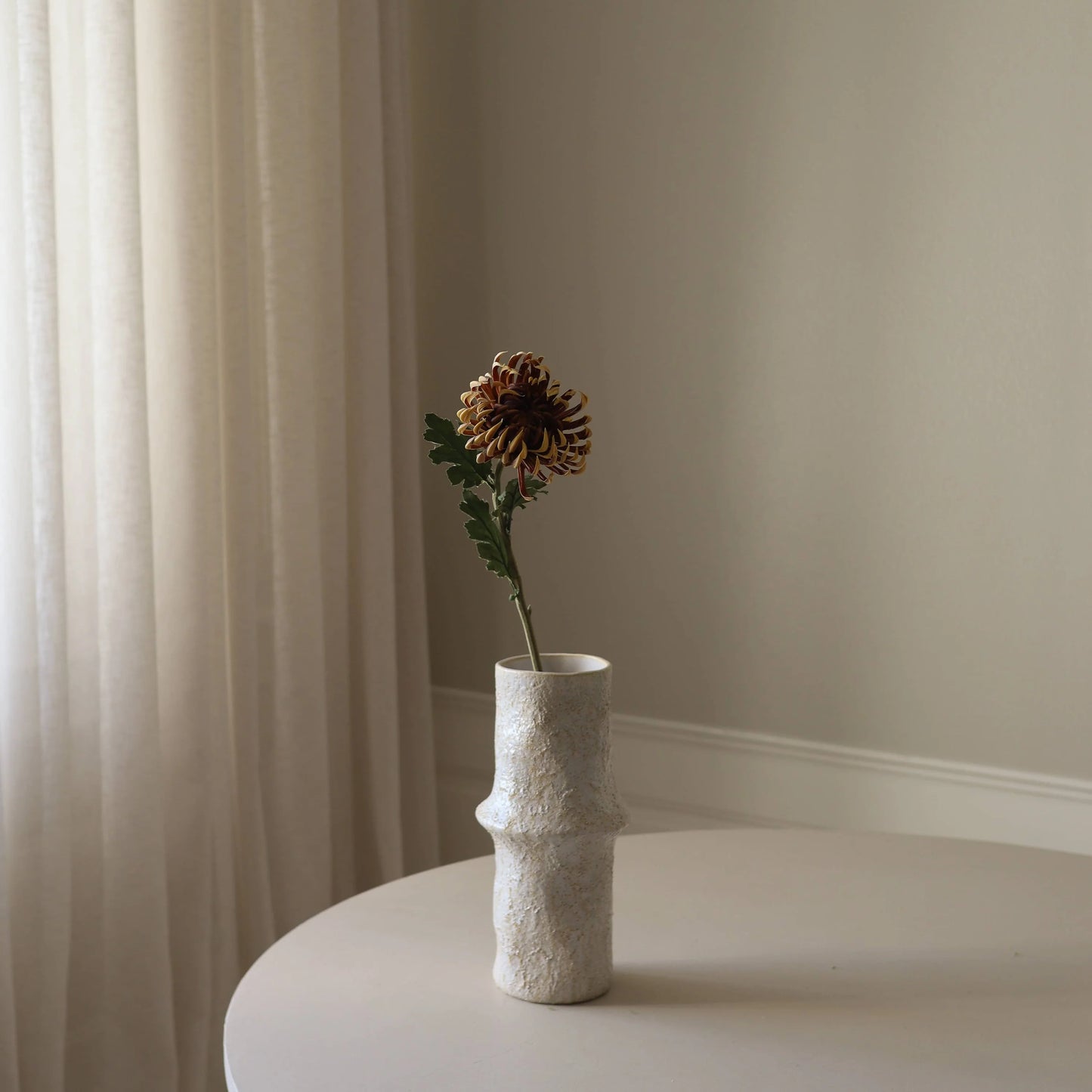 Semi-Cactus Dahlia Flower