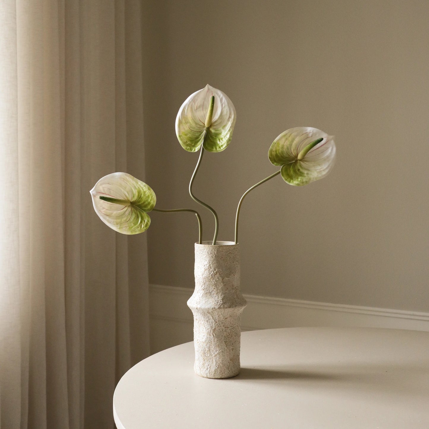 Anthurium Flower