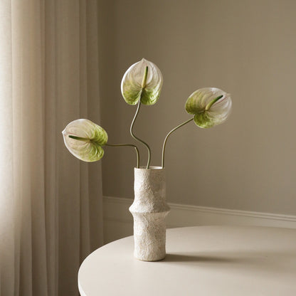Anthurium Flower