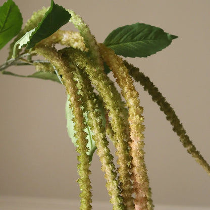 Three Forks Amaranthus Flower