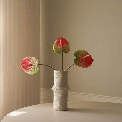 Anthurium Flower