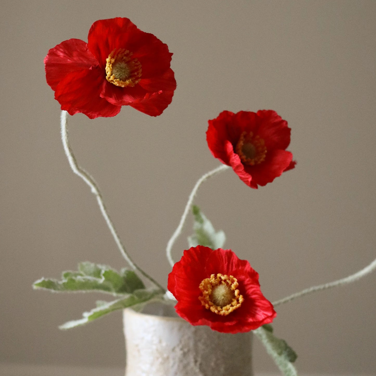 Poppy Flower