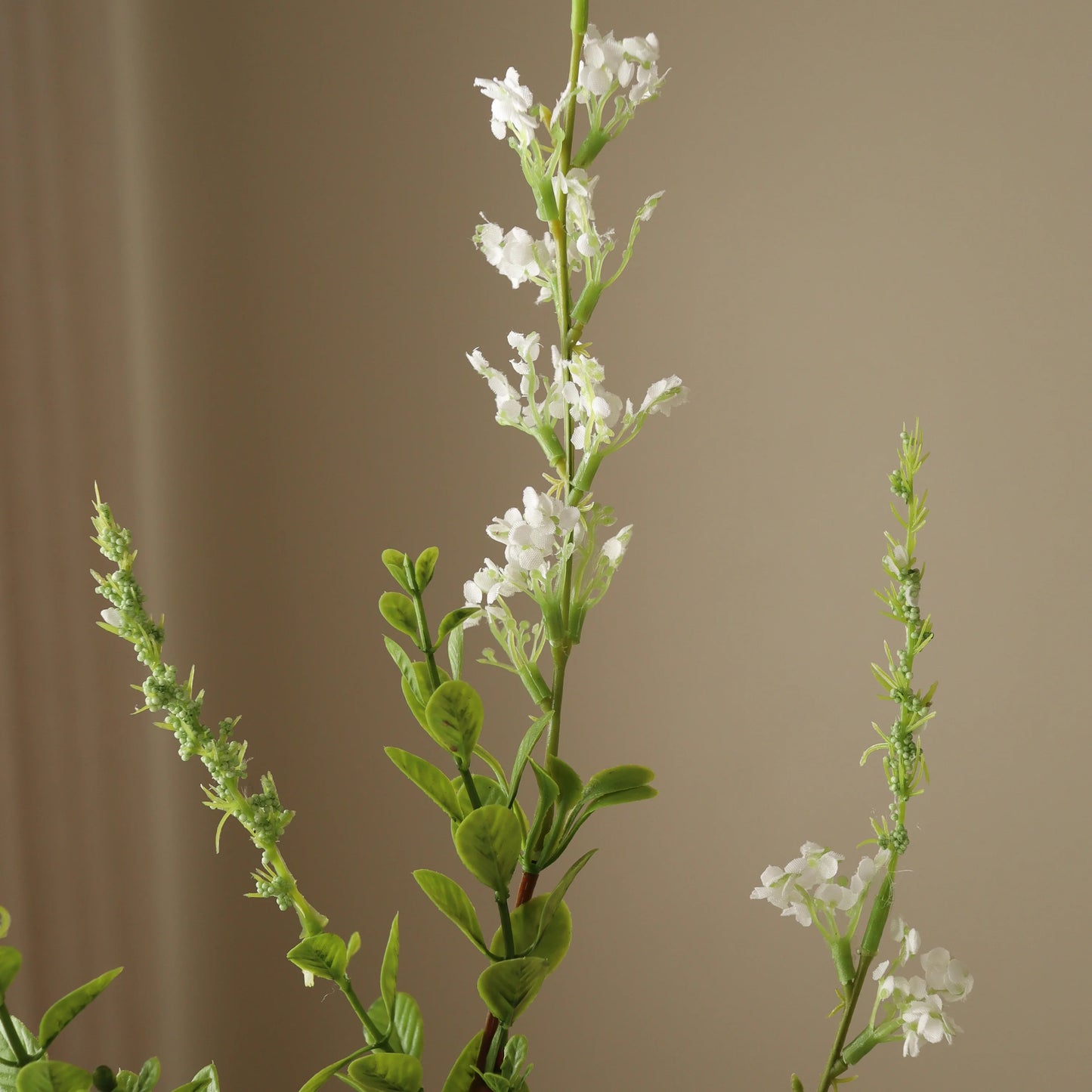 Wild Flower