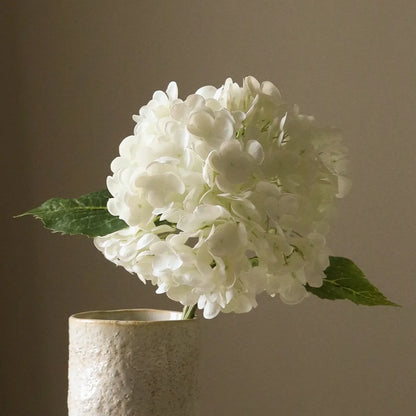 Hydrangea Flower