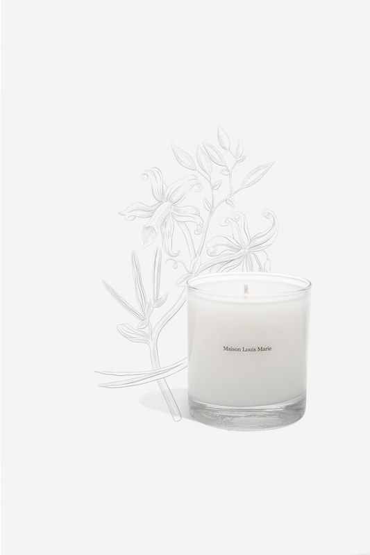 Scented candle no.03 from maison louise marie. With ingredients of the scent handdrawn the background. 