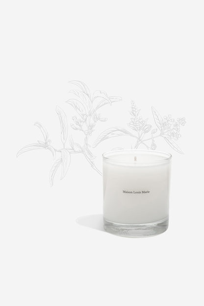 No. 04 Bois de Balincourt - Candle