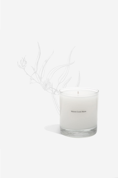 No. 10 Aboukir - Candle
