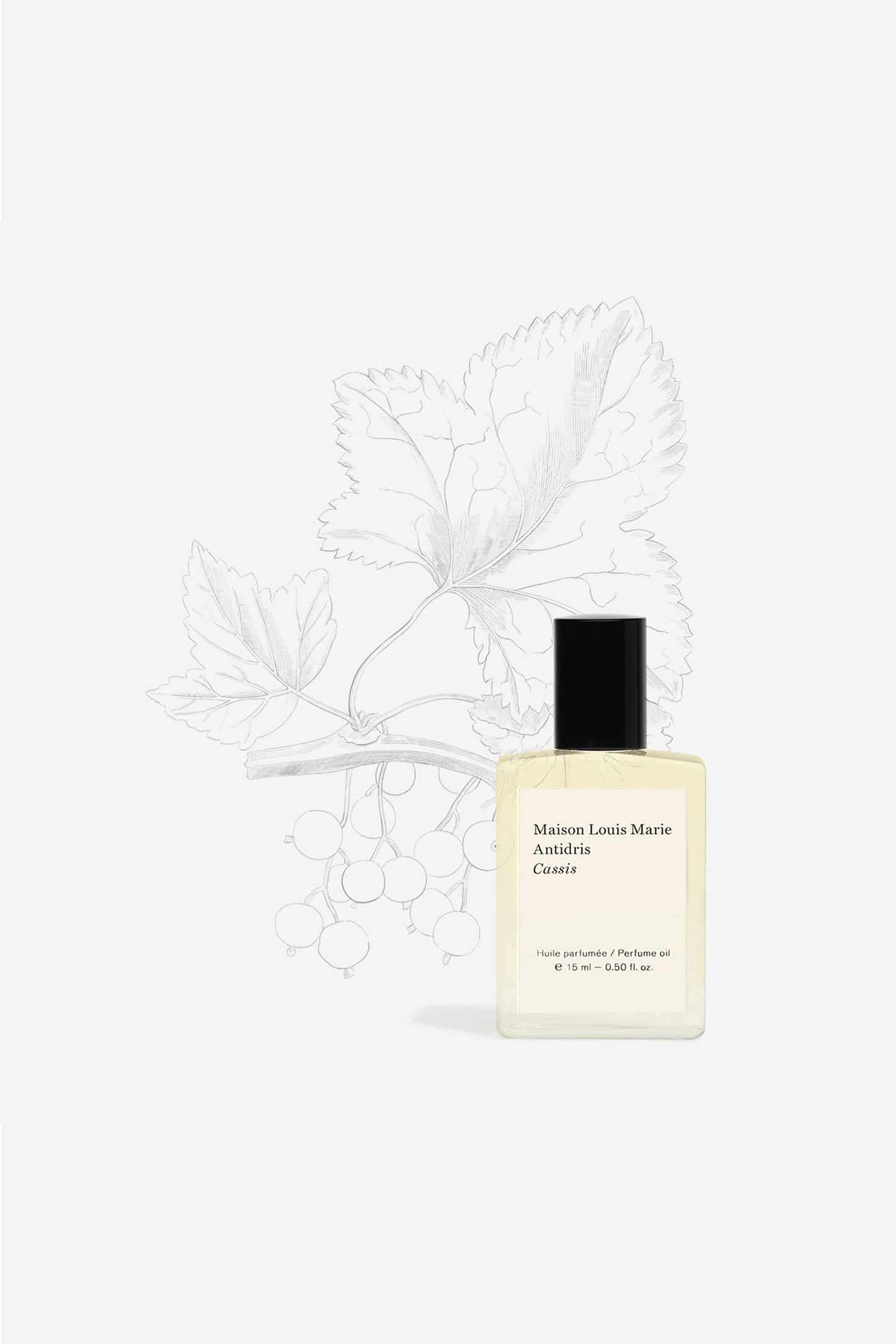 No. Antidris Cassis - Perfume Oil